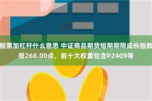 股票加杠杆什么意思 中证商品期货短期期限成份指数报268.00点，前十大权重包含P2409等