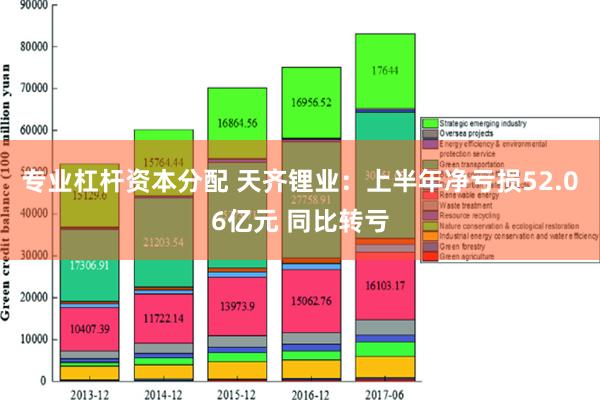 专业杠杆资本分配 天齐锂业：上半年净亏损52.06亿元 同比转亏