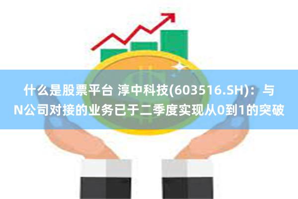 什么是股票平台 淳中科技(603516.SH)：与N公司对接