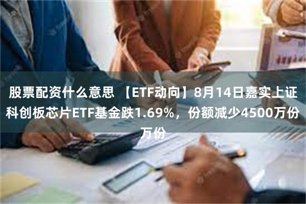 股票配资什么意思 【ETF动向】8月14日嘉实上证科创板芯片ETF基金跌1.69%，份额减少4500万份