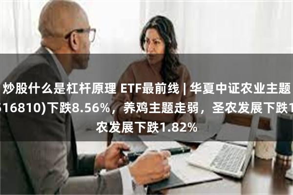 炒股什么是杠杆原理 ETF最前线 | 华夏中证农业主题ETF(516810)下跌8.56%，养鸡主题走弱，圣农发展下跌1.82%