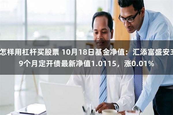 怎样用杠杆买股票 10月18日基金净值：汇添富盛安39个月定