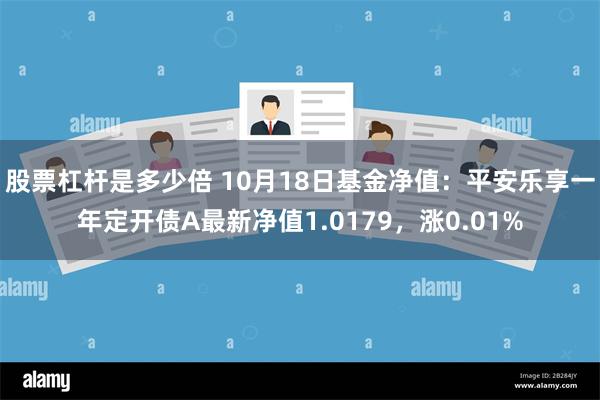 股票杠杆是多少倍 10月18日基金净值：平安乐享一年定开债A最新净值1.0179，涨0.01%