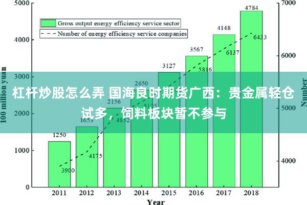 杠杆炒股怎么弄 国海良时期货广西：贵金属轻仓试多，饲料板块暂不参与