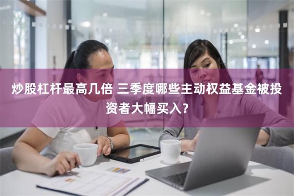 炒股杠杆最高几倍 三季度哪些主动权益基金被投资者大幅买入？