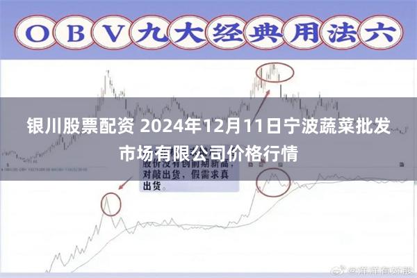 银川股票配资 2024年12月11日宁波蔬菜批发市场有限公司价格行情