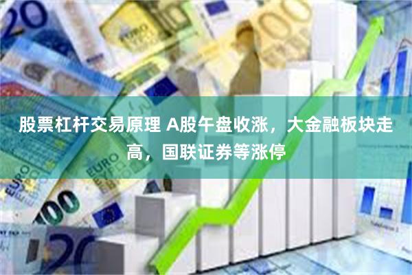 股票杠杆交易原理 A股午盘收涨，大金融板块走高，国联证券等涨停