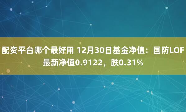 配资平台哪个最好用 12月30日基金净值：国防LOF最新净值0.9122，跌0.31%