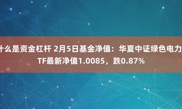 什么是资金杠杆 2月5日基金净值：华夏中证绿色电力ETF最新净值1.0085，跌0.87%