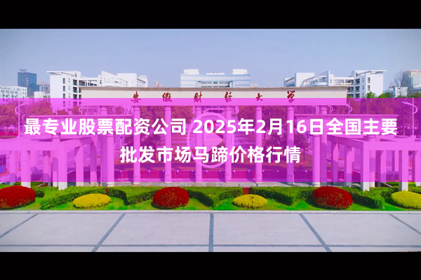 最专业股票配资公司 2025年2月16日全国主要批发市场马蹄价格行情