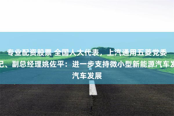 专业配资股票 全国人大代表，上汽通用五菱党委书记、副总经理姚佐平：进一步支持微小型新能源汽车发展