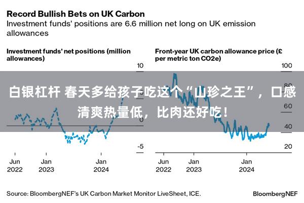 白银杠杆 春天多给孩子吃这个“山珍之王”，口感清爽热量低，比肉还好吃！