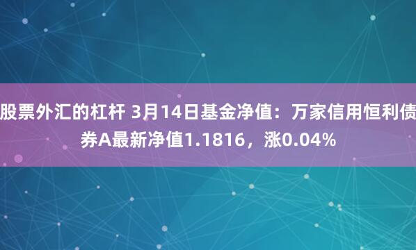 股票外汇的杠杆 3月14日基金净值：万家信用恒利债券A最新净值1.1816，涨0.04%