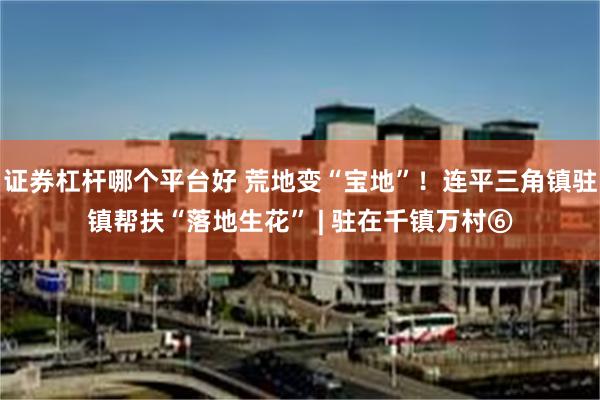 证券杠杆哪个平台好 荒地变“宝地”！连平三角镇驻镇帮扶“落地生花” | 驻在千镇万村⑥